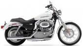 2004 Harley-Davidson XL 883 C Sportster Custom photo